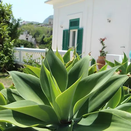 La Casa Bianca * Lipari (Isola Lipari)