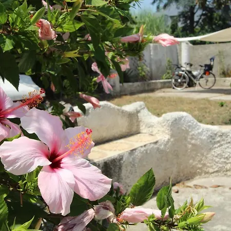 La Casa Bianca Villa
