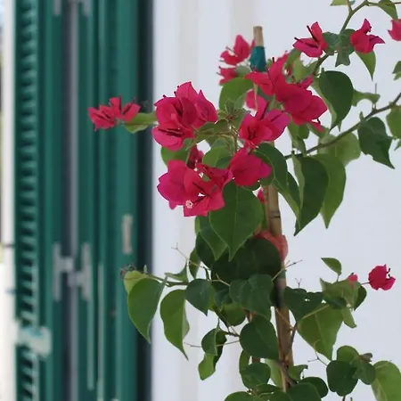 Villa La Casa Bianca Lipari (Isola Lipari)